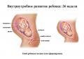 Pelepasan kolostrum selama kehamilan: norma dan patologi Ketika kolostrum sangat sedikit atau tidak ada sama sekali